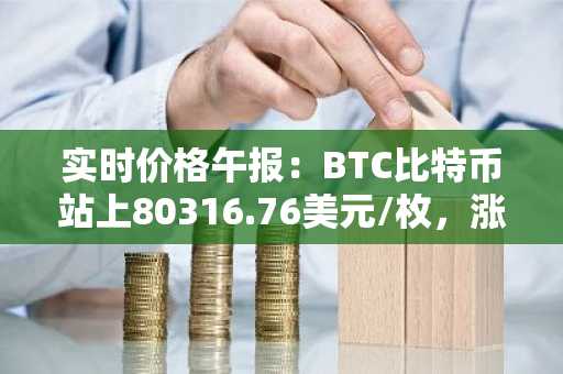 实时价格午报：BTC比特币站上80316.76美元/枚，涨幅达1.01%