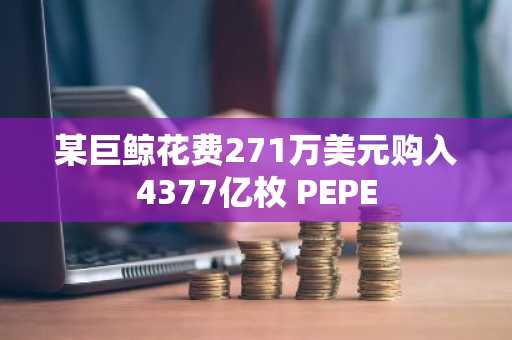 某巨鲸花费271万美元购入4377亿枚 PEPE