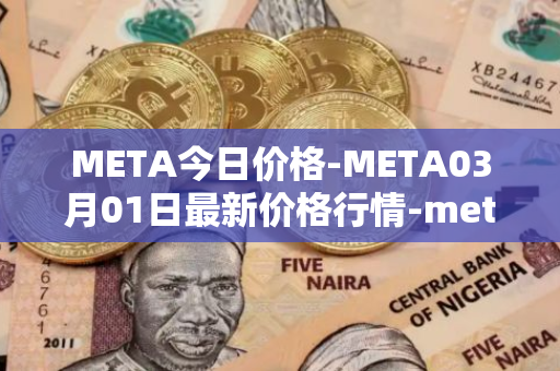 META今日价格-META03月01日最新价格行情-meta最新走势消息