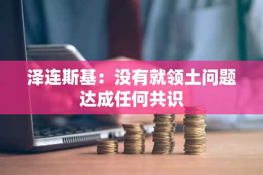 泽连斯基：没有就领土问题达成任何共识