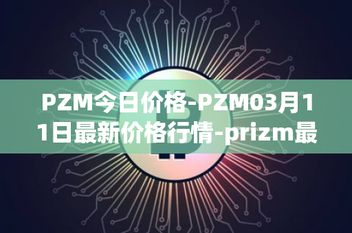 PZM今日价格-PZM03月11日最新价格行情-prizm最新走势消息