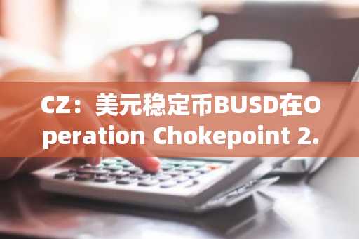CZ：美元稳定币BUSD在Operation Chokepoint 2.0中被扼杀