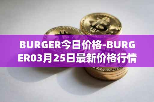BURGER今日价格-BURGER03月25日最新价格行情-burger-swap最新走势消息