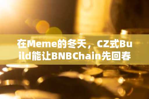 在Meme的冬天，CZ式Build能让BNBChain先回春吗？
