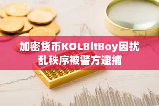 加密货币KOLBitBoy因扰乱秩序被警方逮捕