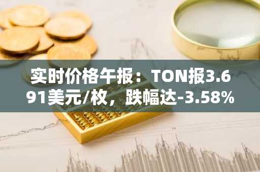 实时价格午报：TON报3.691美元/枚，跌幅达-3.58%