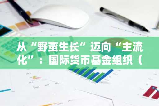 从“野蛮生长”迈向“主流化”：国际货币基金组织（IMF）正式“收编”比特币