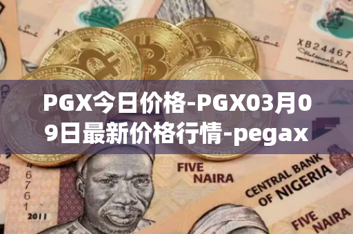 PGX今日价格-PGX03月09日最新价格行情-pegaxystone最新走势消息