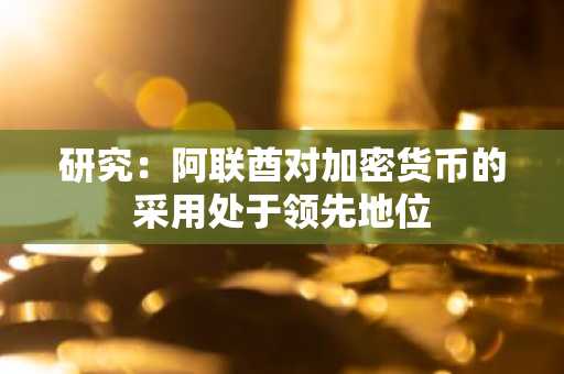 研究：阿联酋对加密货币的采用处于领先地位