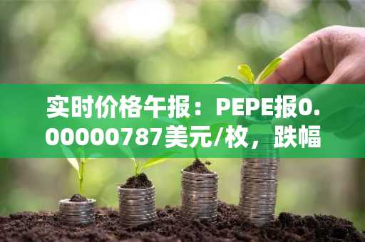 实时价格午报：PEPE报0.00000787美元/枚，跌幅达-3.08%