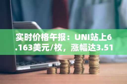 实时价格午报：UNI站上6.163美元/枚，涨幅达3.51%
