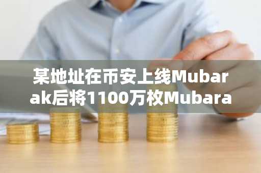 某地址在币安上线Mubarak后将1100万枚Mubarak转进币安，获利160万美元