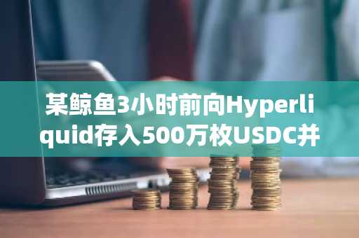 某鲸鱼3小时前向Hyperliquid存入500万枚USDC并买入315,070枚HYPE