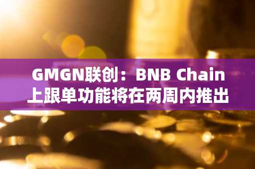 GMGN联创：BNB Chain上跟单功能将在两周内推出