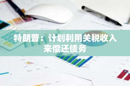 特朗普：计划利用关税收入来偿还债务