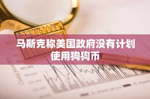 马斯克称美国政府没有计划使用狗狗币