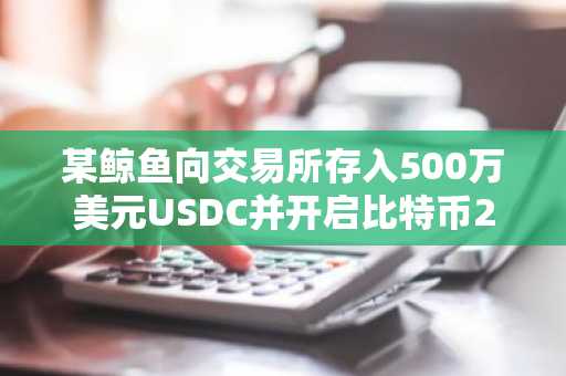 某鲸鱼向交易所存入500万美元USDC并开启比特币20倍杠杆多单