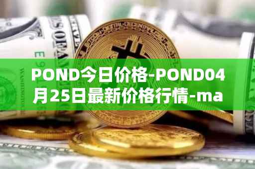 POND今日价格-POND04月25日最新价格行情-marlin最新走势消息