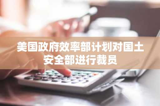 美国政府效率部计划对国土安全部进行裁员