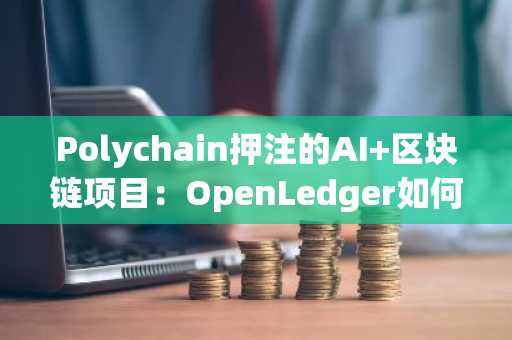 Polychain押注的AI 区块链项目：OpenLedger如何用SLM赛道破局？
