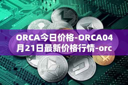 ORCA今日价格-ORCA04月21日最新价格行情-orca最新走势消息