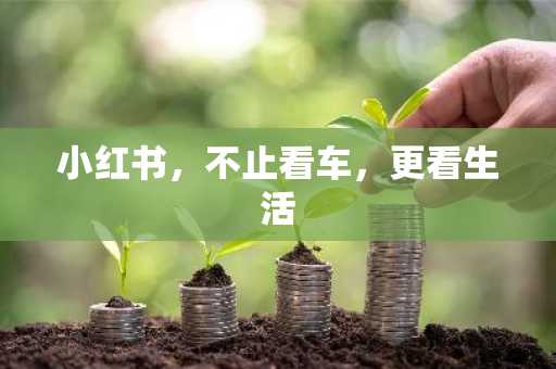 小红书，不止看车，更看生活