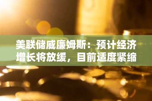 美联储威廉姆斯：预计经济增长将放缓，目前适度紧缩的货币政策完全合适