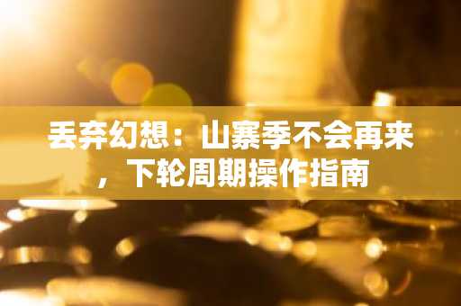 丢弃幻想：山寨季不会再来，下轮周期操作指南