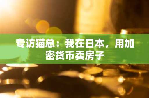 专访猫总：我在日本，用加密货币卖房子