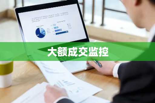 大额成交监控