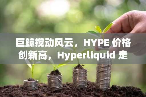 巨鲸搅动风云，HYPE 价格创新高，Hyperliquid 走出低谷数据全面爆发