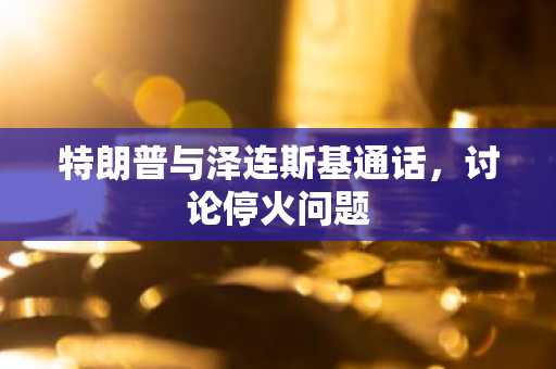 特朗普与泽连斯基通话，讨论停火问题