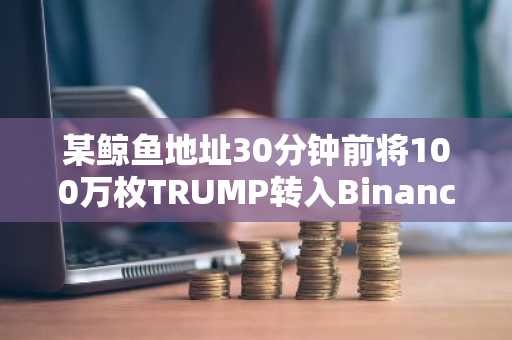 某鲸鱼地址30分钟前将100万枚TRUMP转入Binance