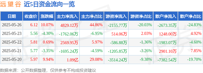 5月26日远 望 谷涨停：电子车牌，电子身份证，智慧物流概念热股