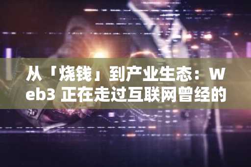 从「烧钱」到产业生态：Web3 正在走过互联网曾经的老路