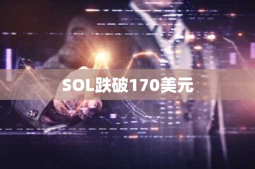 SOL跌破170美元