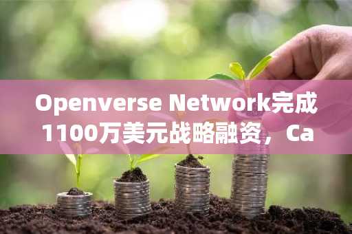 Openverse Network完成1100万美元战略融资，Castrum Capital等参投
