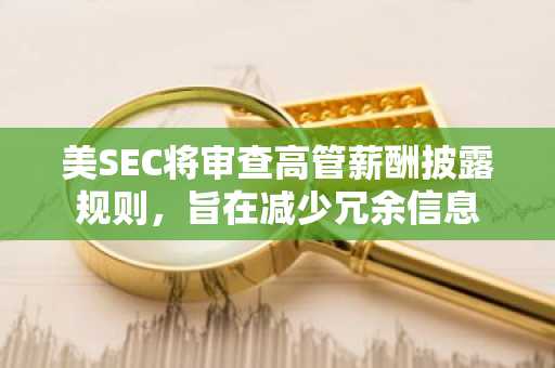 美SEC将审查高管薪酬披露规则，旨在减少冗余信息