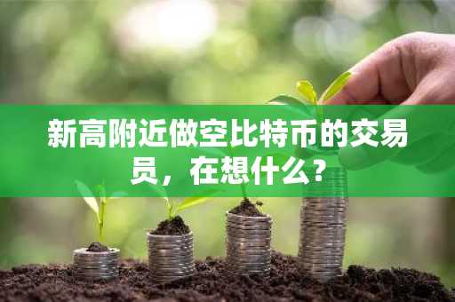 新高附近做空比特币的交易员，在想什么？