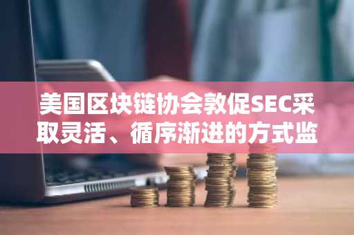 美国区块链协会敦促SEC采取灵活、循序渐进的方式监管加密行业