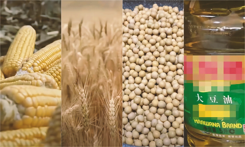 生物燃料政策生变？豆油多头紧急撤离！CBOT持仓变动揭示市场真实担忧！
